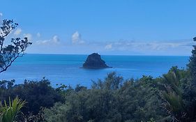Waiwera Clifftop - Eagle'S Rest